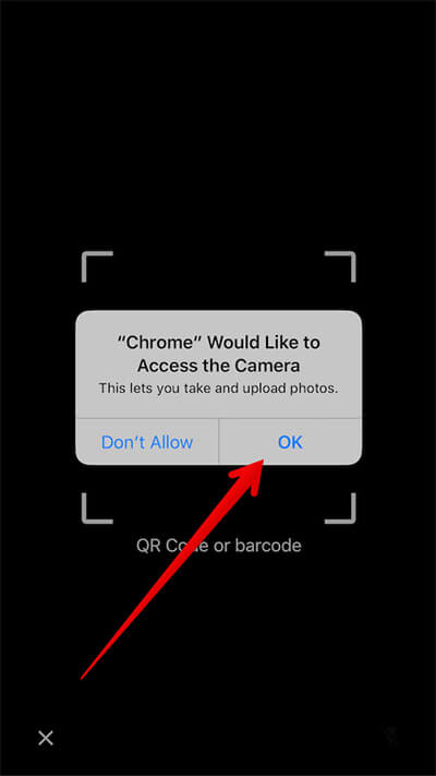 enable camera access on mac for chrome
